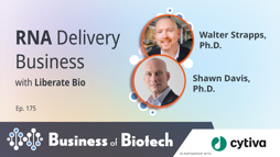 24_01_BoB_1280x720_Ep175