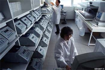 Genest Program Ceres and Genset collaborate on corn genes