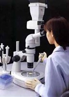 Zoom Stereo Microscope