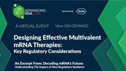 25_05_ARNA_1280x720_Seg05