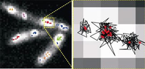 15889_molecular_machines