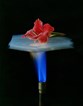 aerogel-flower-small.jpg aerogel-flower-small.jpg