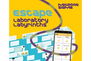 MicrosoftTeams-image-(6)-(002)