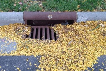 image3-sarahhobbie_-_cropped