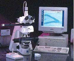 stereoinvestigator