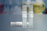 A Proven Recombinant, Extracellular Matrix For iPSCs And MSCs Vitronectin XF™