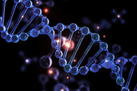 Rapidly Assess Drug Response In 2D And 3D Breast Cancer Model Systems GettyImages-2193981966-dna-helix-built-molecule