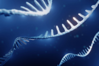 RNA Interference - From Single Gene Studies To Whole Genome Screens