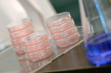 How To Design Cell-based Potency Assays How To Design Cell-based Potency Assays