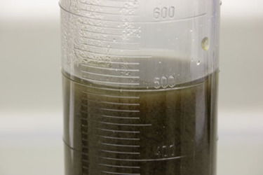 Sludge sample GettyImages-1296355742