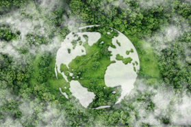 Growing A Sustainability Culture Across An Expanding CDMO Network GettyImages-1903972230 Sustainability Concept, Green Forest With Globe Earth