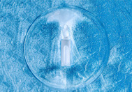 Controlled Freezing Of ADCs GettyImages-1299489003-- frozen--vaccine