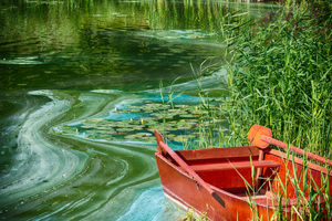 wastewater ecological damage-GettyImages-2231956262