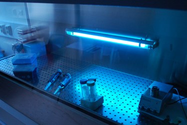 Can UV Light Kill the Novel Coronavirus? - Apollo Heating & Air
