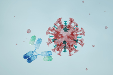 mAb, monoclonal antibody, antigen, vaccine-GettyImages-2245122166