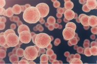 GettyImages-1327318287 cells