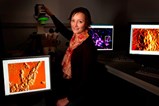 dr-rikke-meyer-aarhus-university-sm.jpg dr-rikke-meyer-aarhus-university-sm.jpg