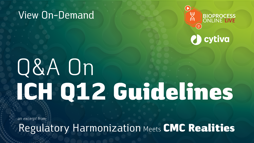 Q&A On ICH Q12 Guidelines