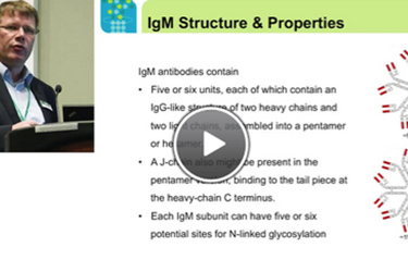 Purification Platform For IgMs