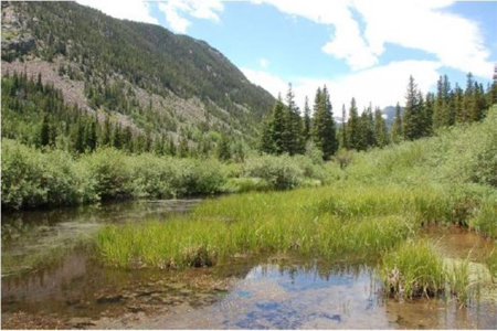 Getting A (Big) Jump On A Healthy Environment