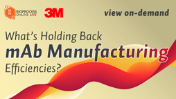 22_06_BPL_UpstreamEffic_Webinar_1920x1080_Seg07