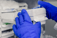 GettyImages-2168021021-freezer-cell-culture-gloved-hands
