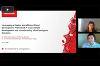 Rapid development framework webinar