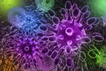 The Medicines Company Launches Carbavance Phase 3 Study Bacteria 450x300