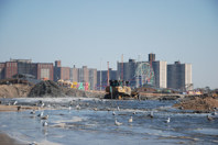 Preserving An Iconic Beach For Future Generations  PHOTO 11