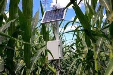 Irrigation+Sensor+in+Field