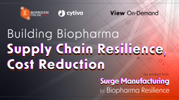 23_04_BPL_SurgeMfg_Webinar_1920x1080_Seg9