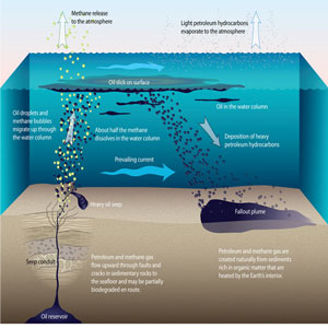 Natural Petroleum Seeps Release Equivalent Of 8 - 80 Exxon Valdez Oil ...