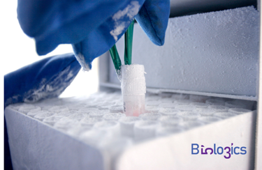 Screenshot 2026-04-06 081057