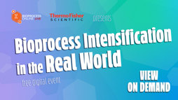 24_06_BPOL_OD_1920x1080