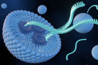 Advancing Cell Therapies With Lipid Nanoparticles GettyImages-2151198847-lipid-nanoparticle-with-rna-strands