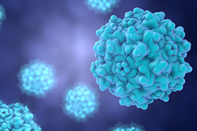 Scalability And Productivity Of Transient Transfection AAV Production Adeno-Associated Virus AAV GettyImages-597972114