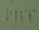 nanogreen nanogreen