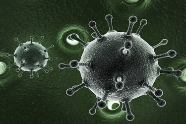 hepatitis c hepatitis c