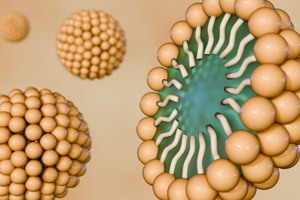 Scattered Micelle-GettyImages-2254246790