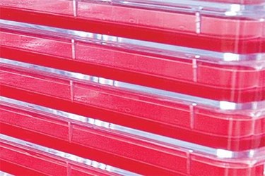 Large Scale Expansion And Differentiation Of Human Mesenchymal Stromal Cells Large Scale Expansion And Differentiation Of Human Mesenchymal Stromal Cells