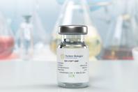 FGF-2 TOP GMP Thermostabilized Growth Factor FGF-2 TOP