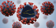 GettyImages-1211349799-lentiviral-vector