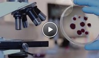 Real-Time Information On Microbial Contamination In Pharma Cleanrooms real time microbial contamination info