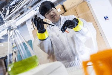 antimicrobial contamination