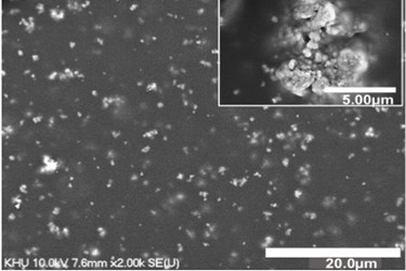 APL-BFOPolymerThinFilm_Lee APL-BFOPolymerThinFilm_Lee
