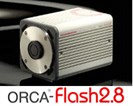 Scientific CMOS Camera: Orca-Flash 2.8