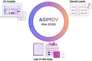 Asimov - RNA Edge graph 2