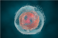AAV Process Intensification Using High Salt Lysis & Salt Tolerant Endonuclease GettyImages-623942396 cell lysis