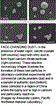 pnnl.gif