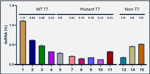 Primrose - dsRNA 1